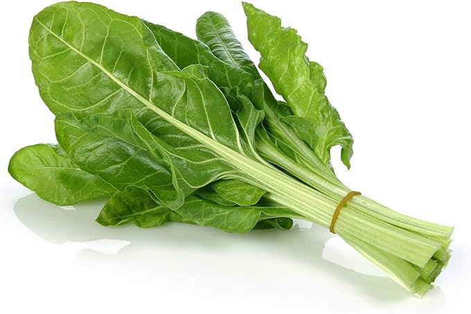 Kitazawa Japanese Umaina Chard Seeds