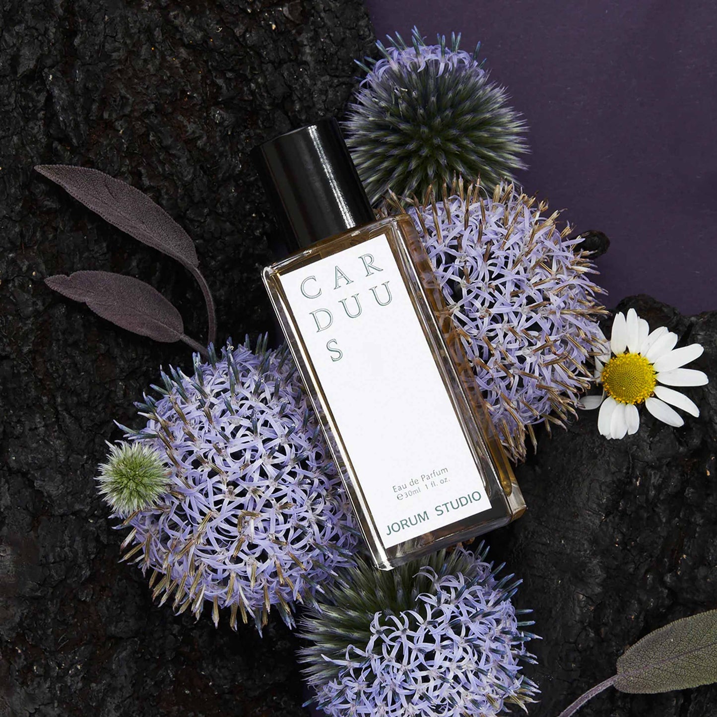 Jorum Eau de Parfum / Carduus