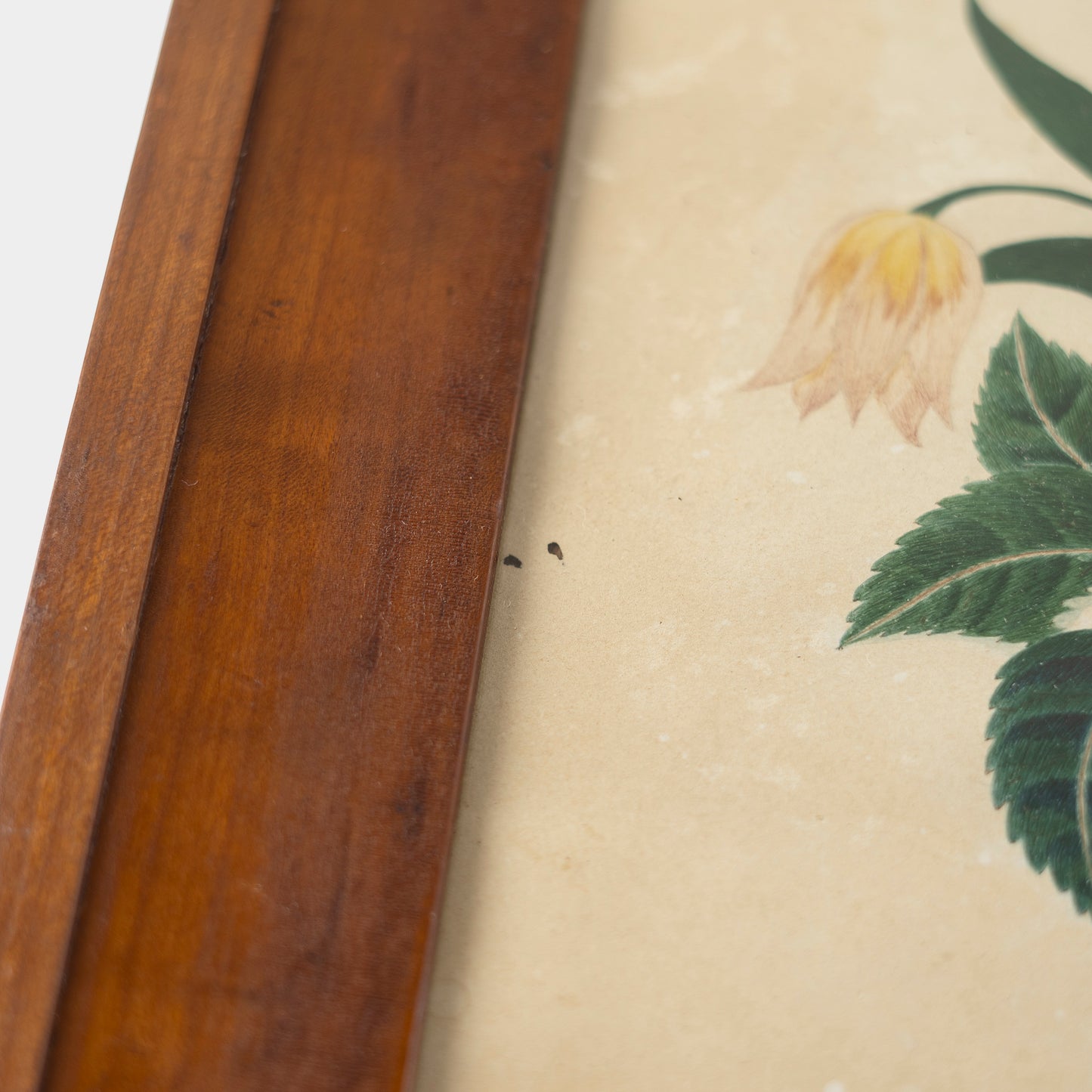 Antique "Vase of Flowers" Botanical Watercolor