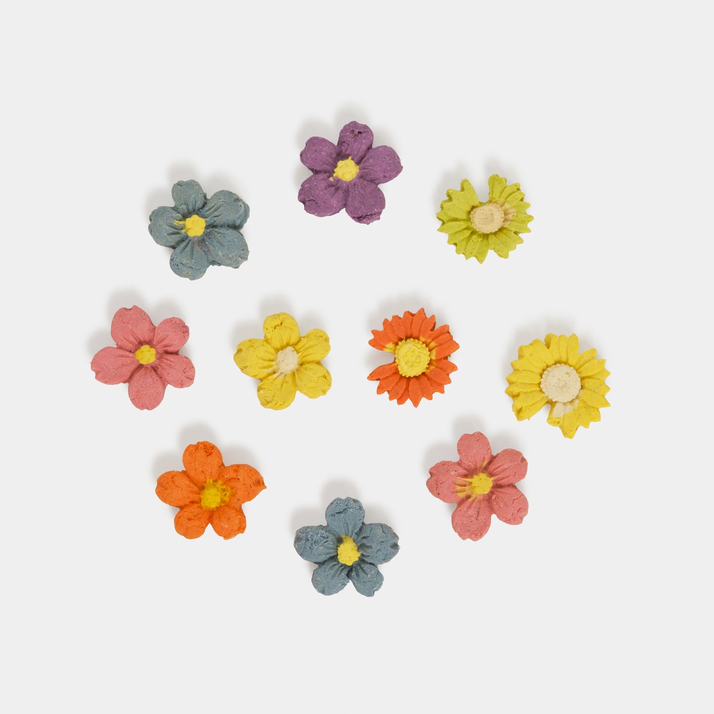Flower Garden Crunch Treats For Dogs & Cats