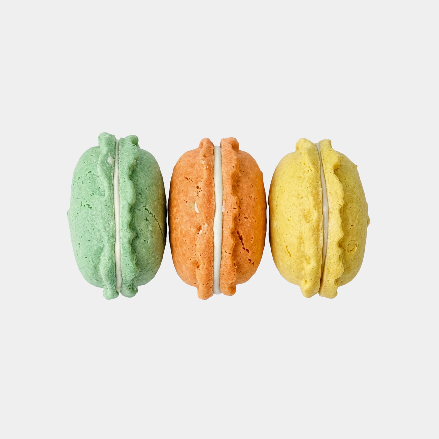 Gourmet Mini Chicken Macaron Box Dog Treats