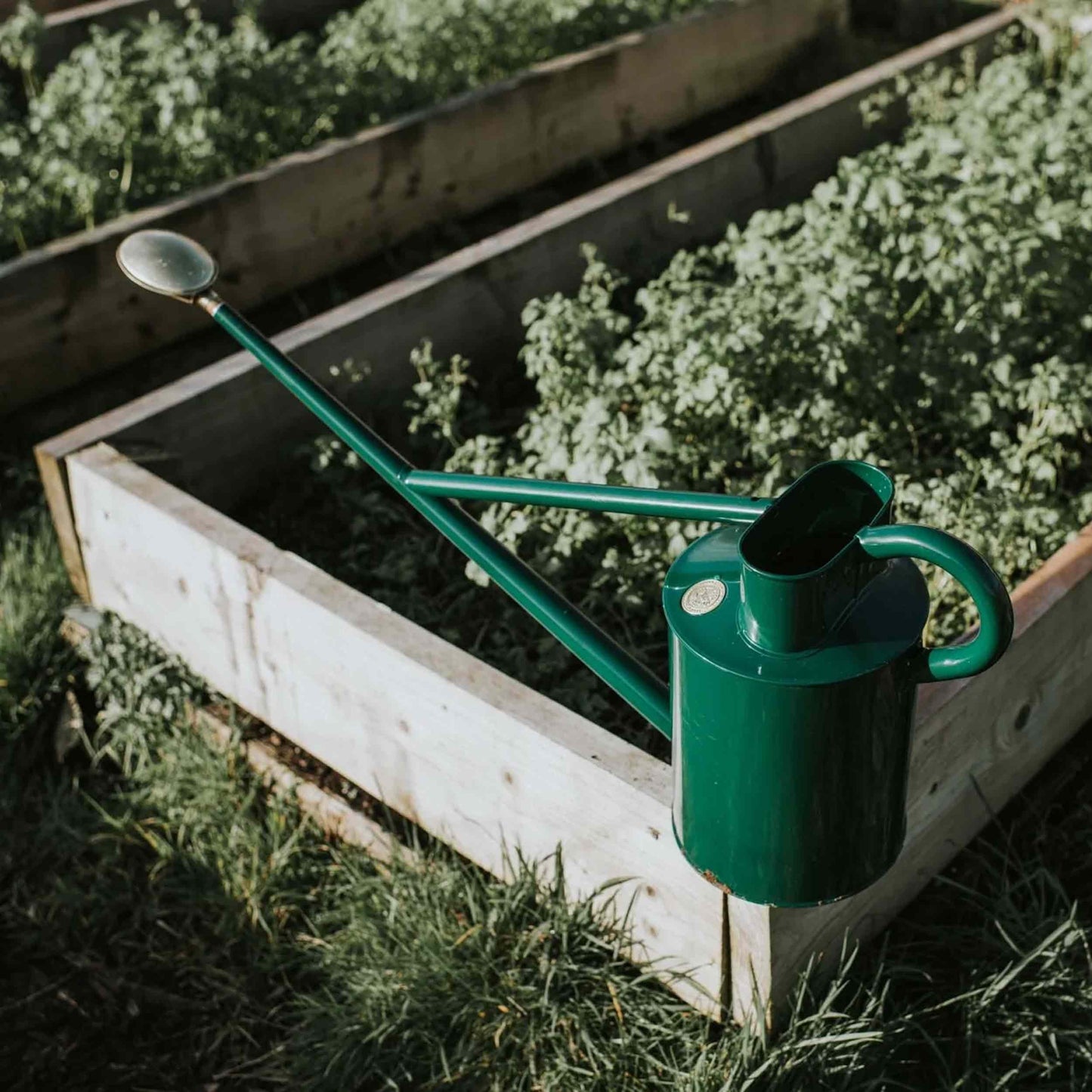 Haws England 2 Gallon Long Reach Watering Can in Green- Professional Series
