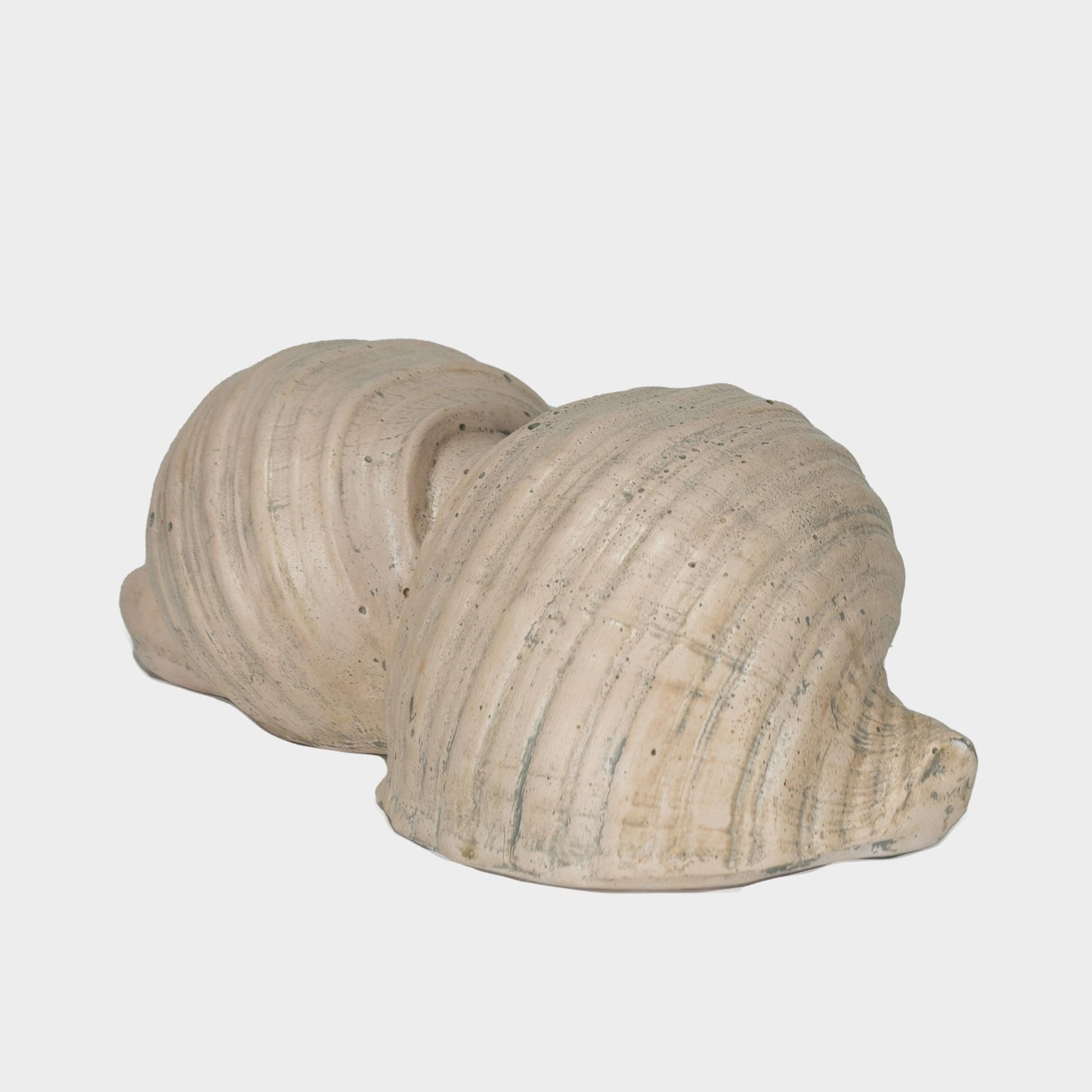 John Orth Siamese Shell Sculpture in Pale Pink, New York, 2022