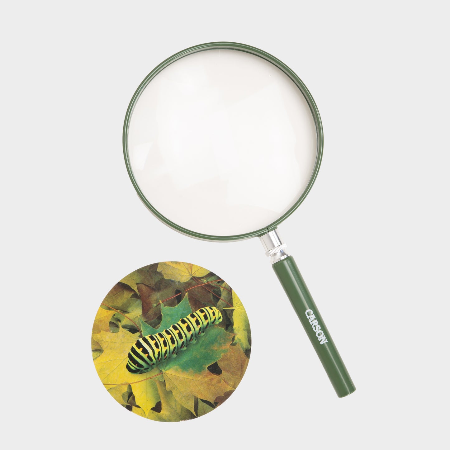 Oversized Handheld Magnifying Glass