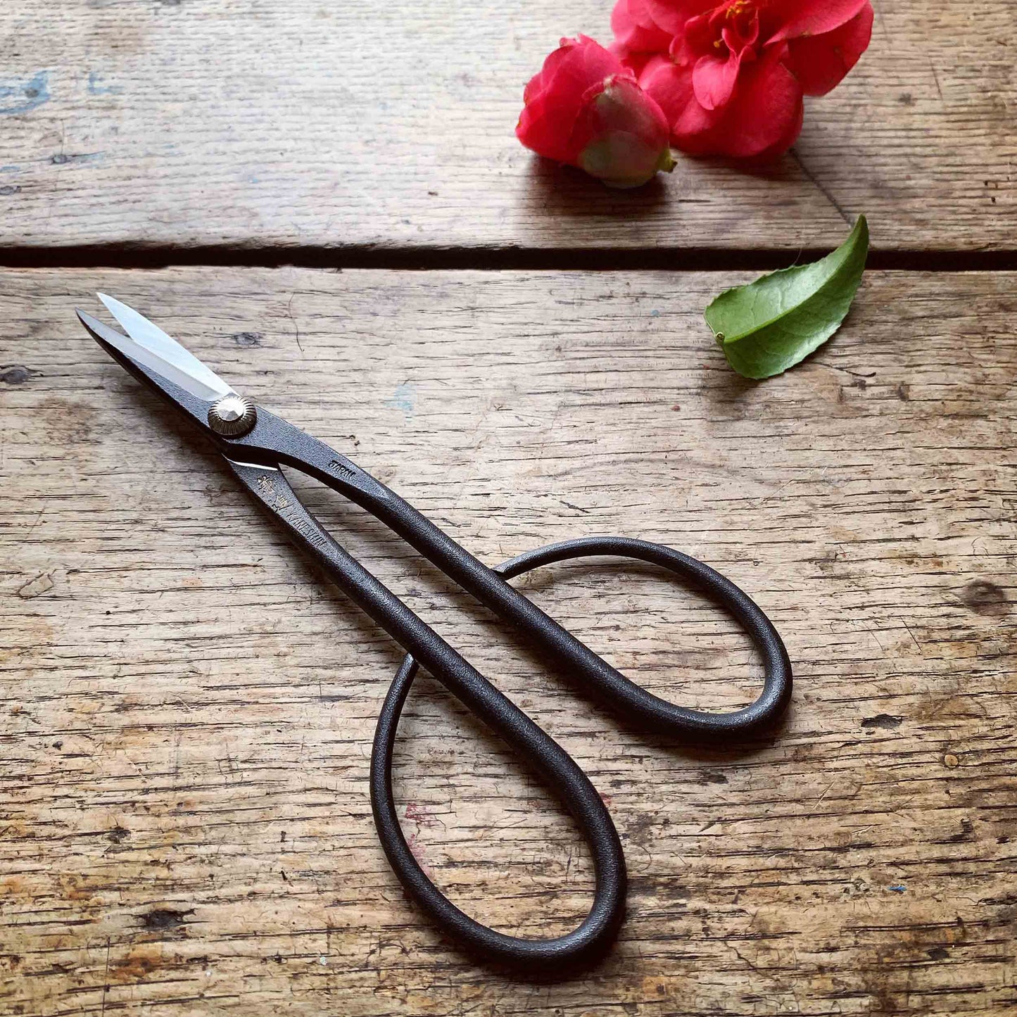 Kaneshin Japanese Bonsai Trimming Scissors