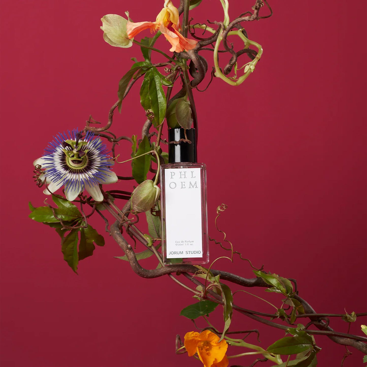 Jorum Eau de Parfum / Phloem
