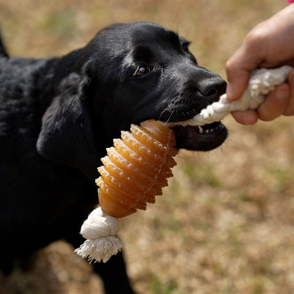 Sepia Organic Spike and Rope Toy