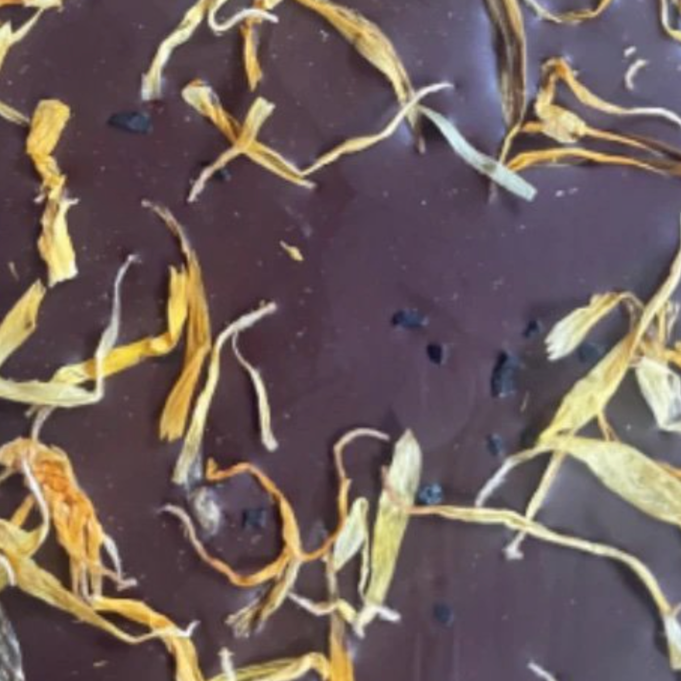 The Quiet Botanist Chocolate Bars