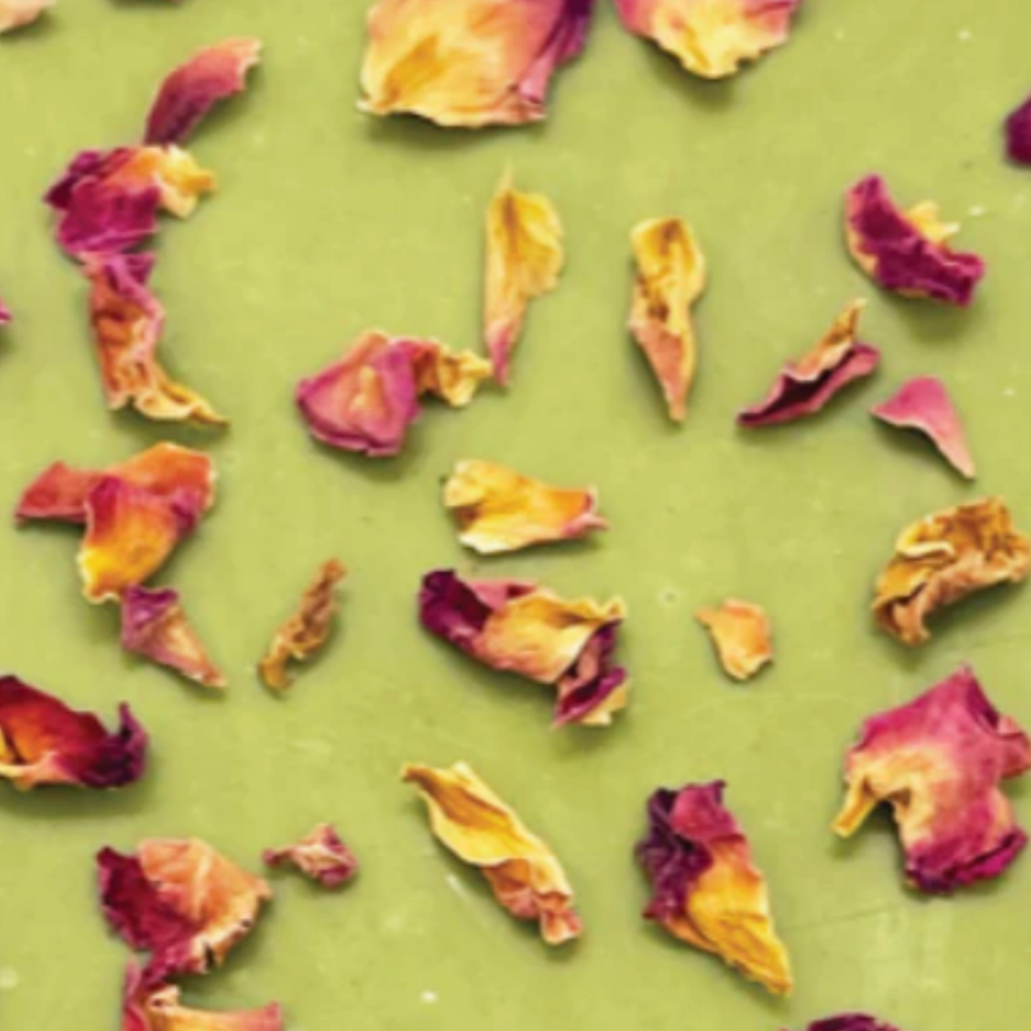 The Quiet Botanist Chocolate Bars