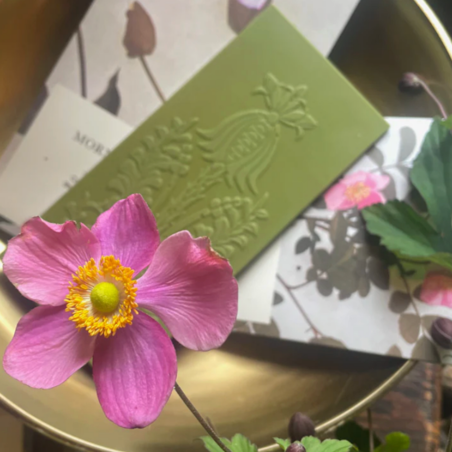 The Quiet Botanist Chocolate Bars