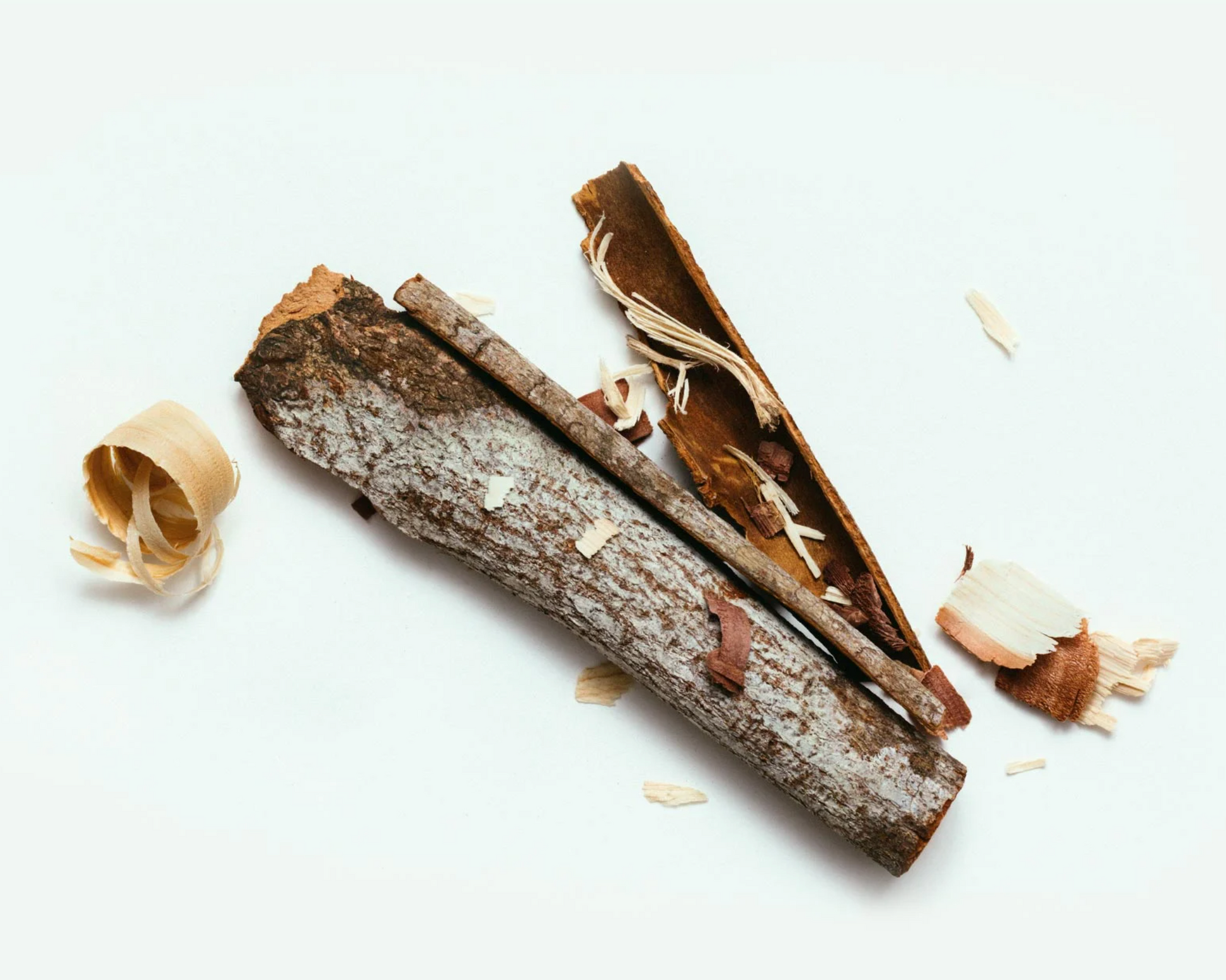 Corpus Natural Deodorant Stick