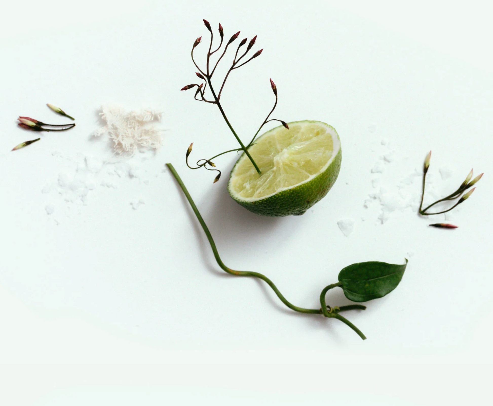 Corpus Natural Deodorant Stick