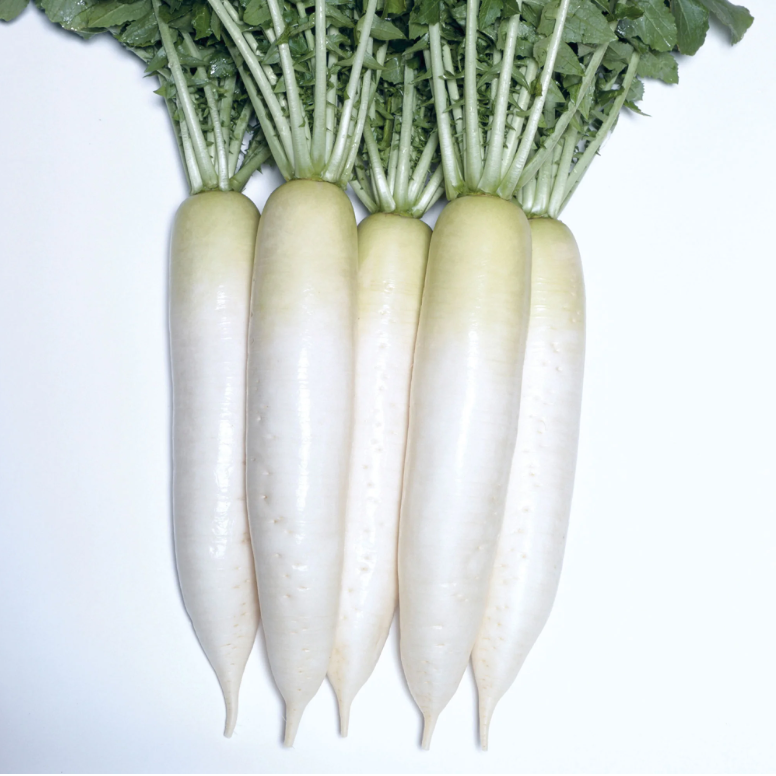 Kitazawa Daikon Radish Daikon Minowase Seed