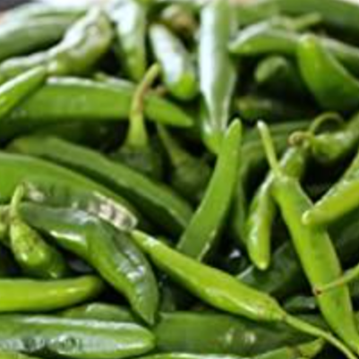 Kitazawa Pepper Hot Korean Gochu Vita Green Hybrid Seeds