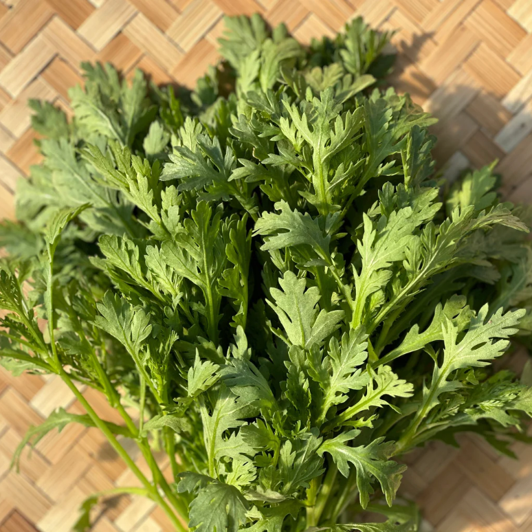 Kitazawa Chrysanthemum Oasis Greens Seeds