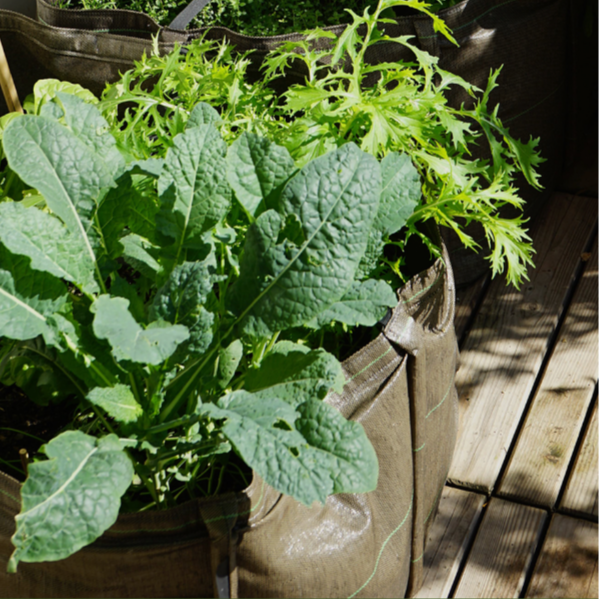French Geotextile Portable Planter-Square