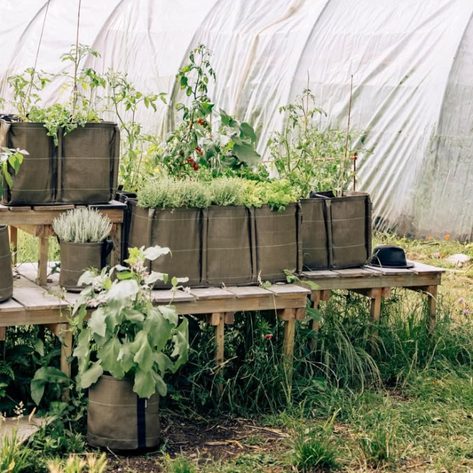 French Geotextile Portable Planter-Rectangle