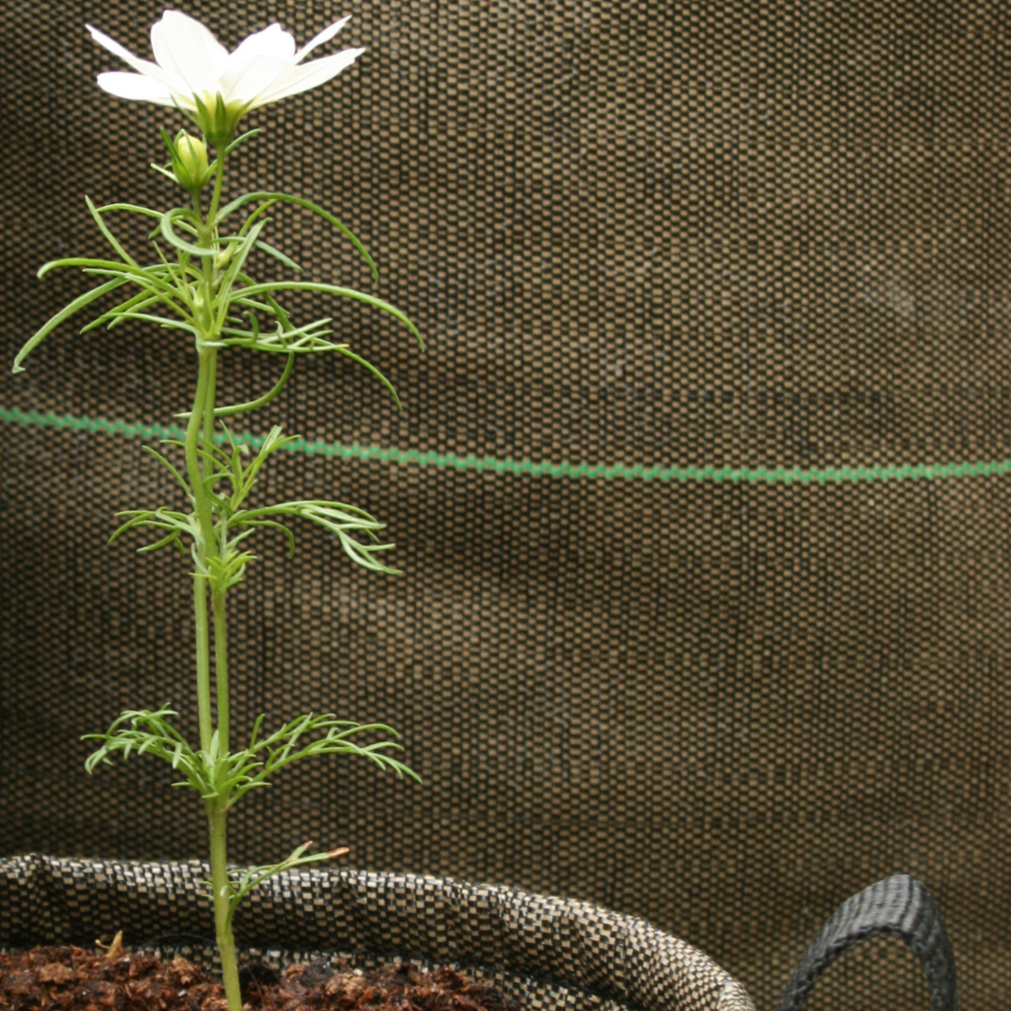 French Geotextile Portable Planter-Rectangle