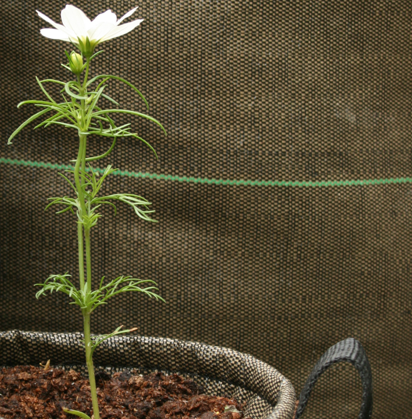 French Geotextile Portable Planter-Square