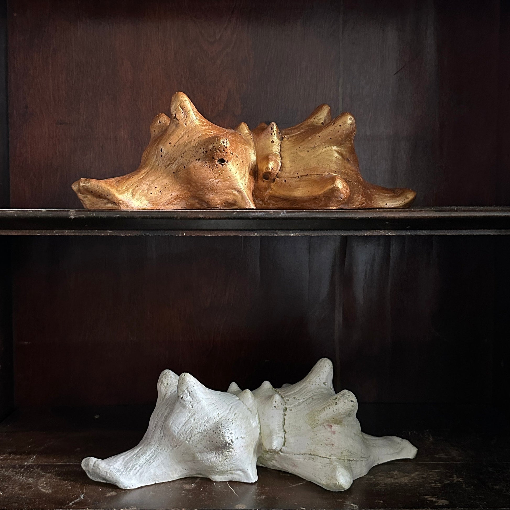 Siamese Shell Sculpture Series