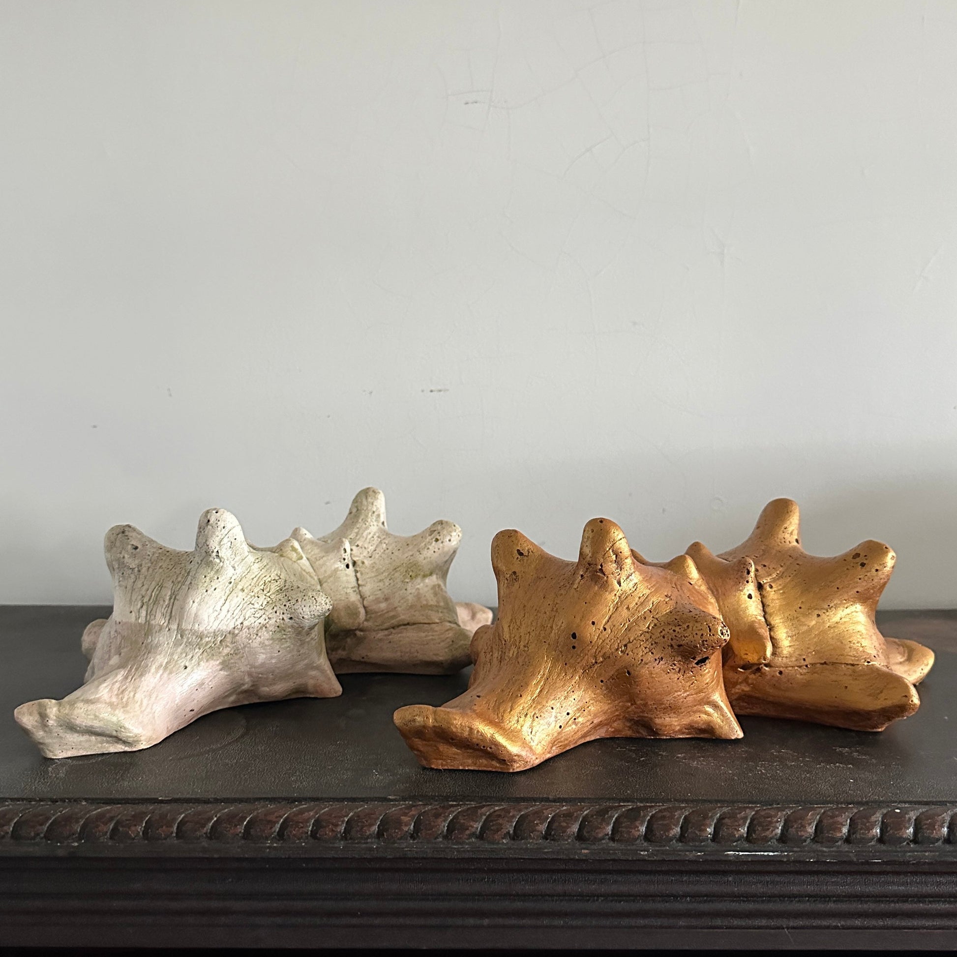 Siamese Shell Sculpture Series