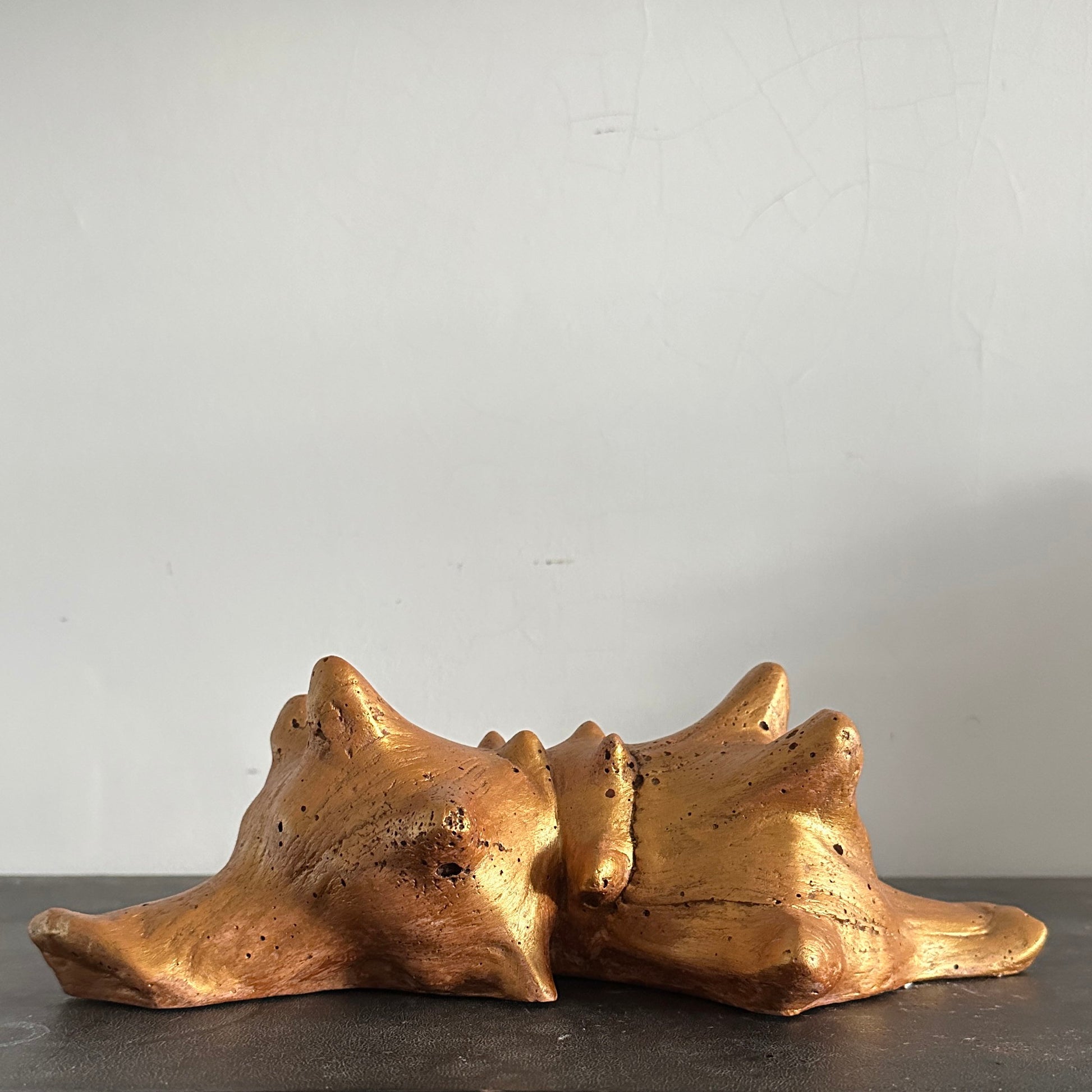 Siamese Shell Sculpture Series