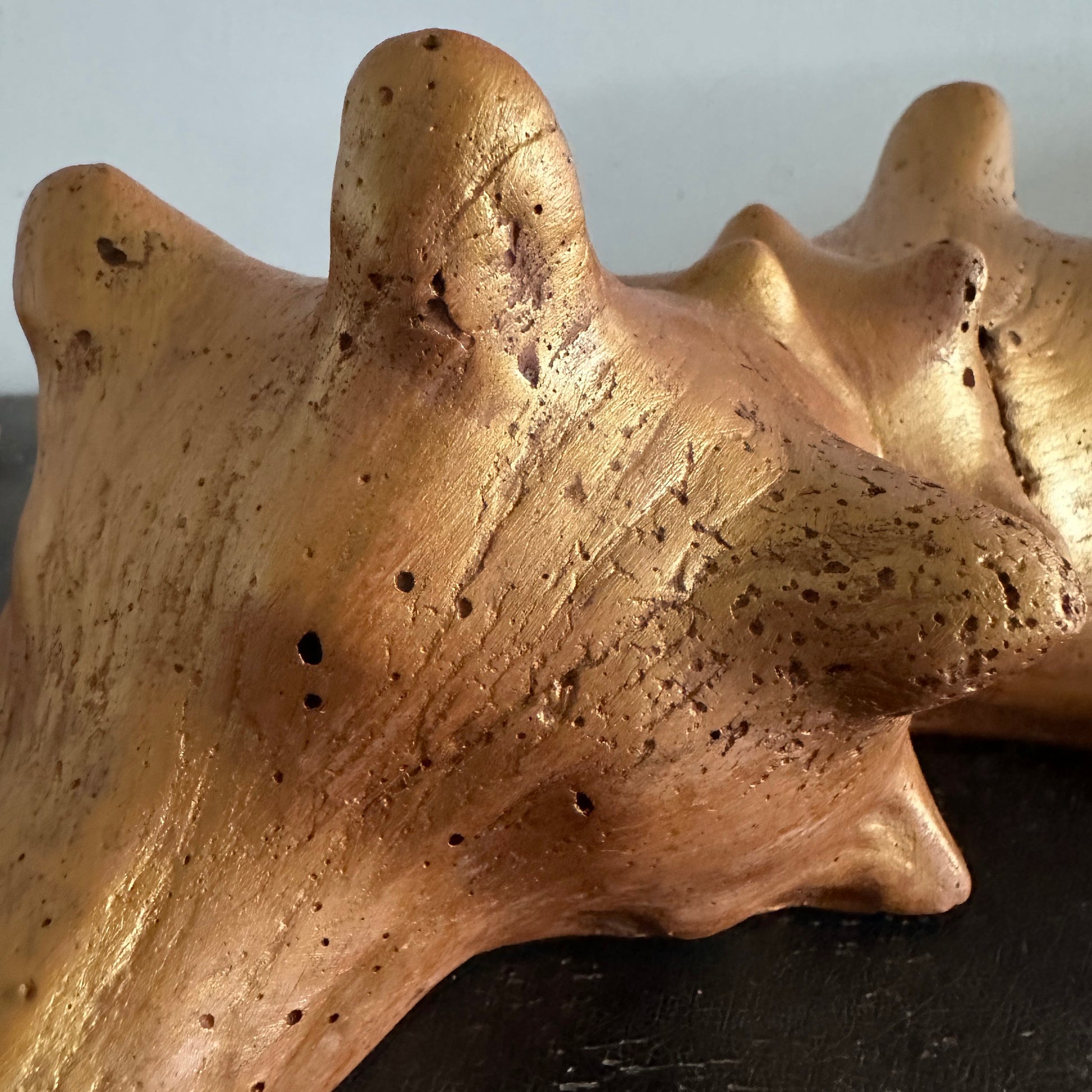 Siamese Shell Sculpture Series