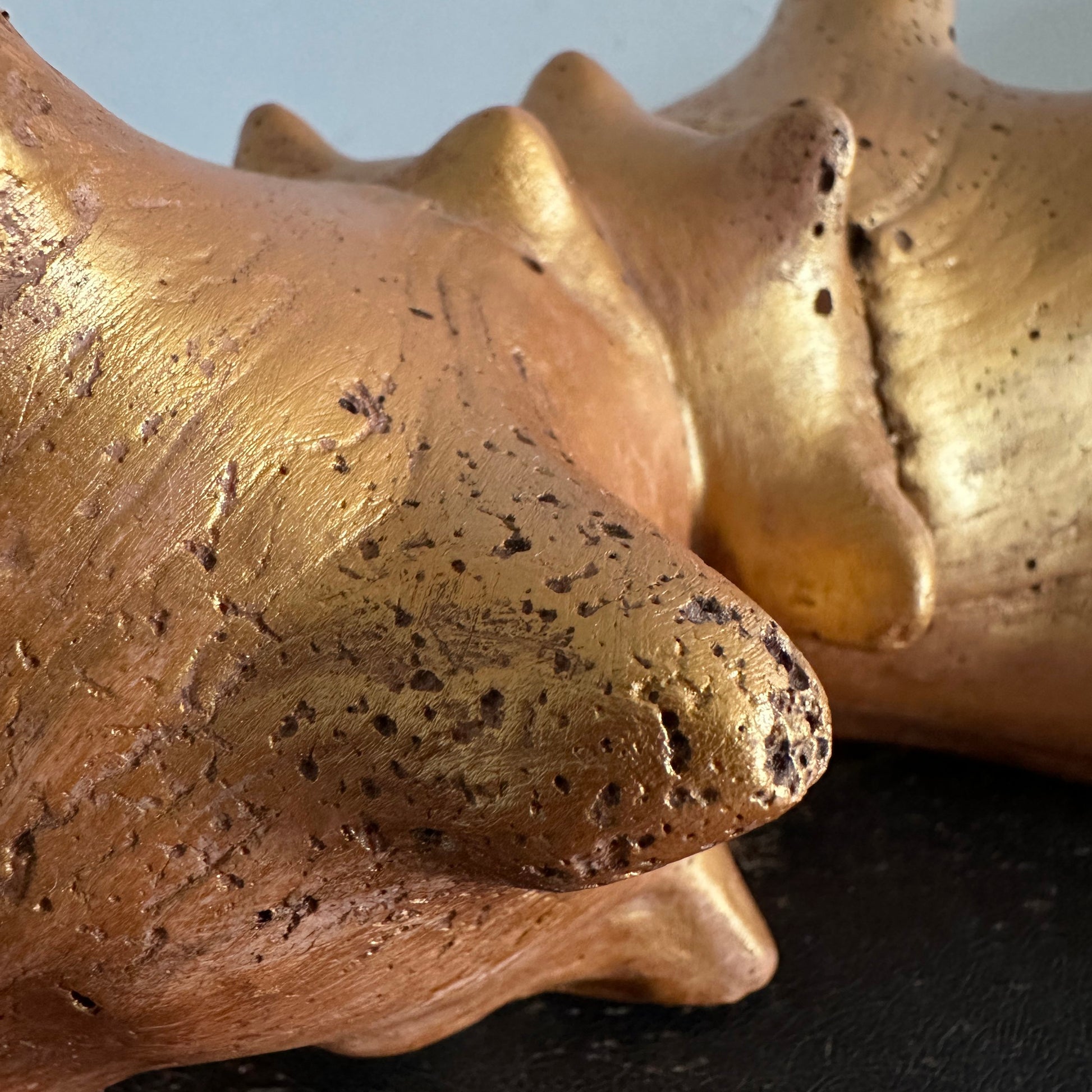 Siamese Shell Sculpture Series