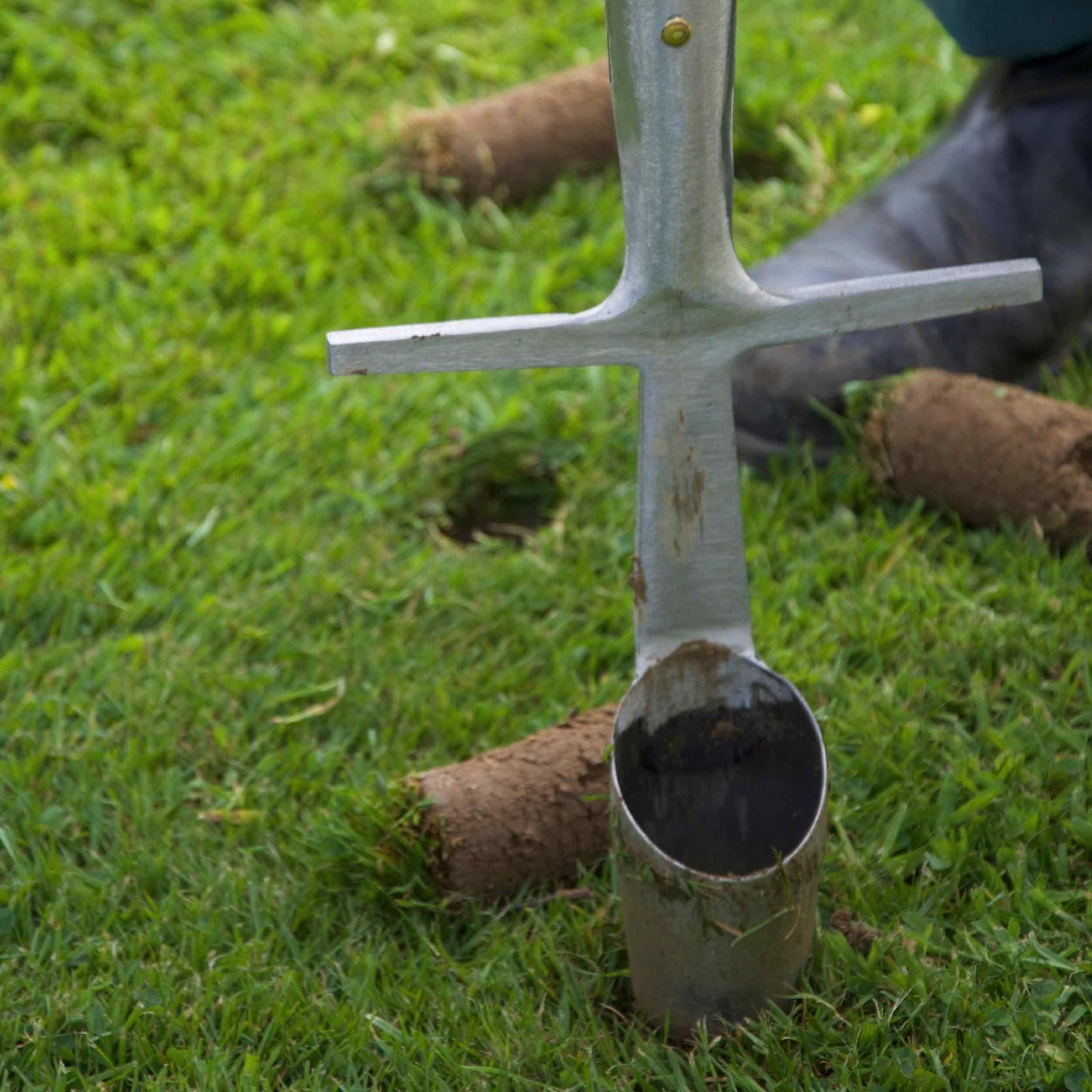 Sneeboer Great Dixter Bulb Planter