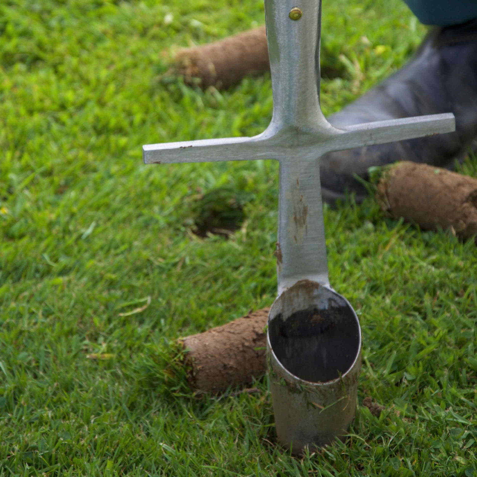 Sneeboer Great Dixter Bulb Planter
