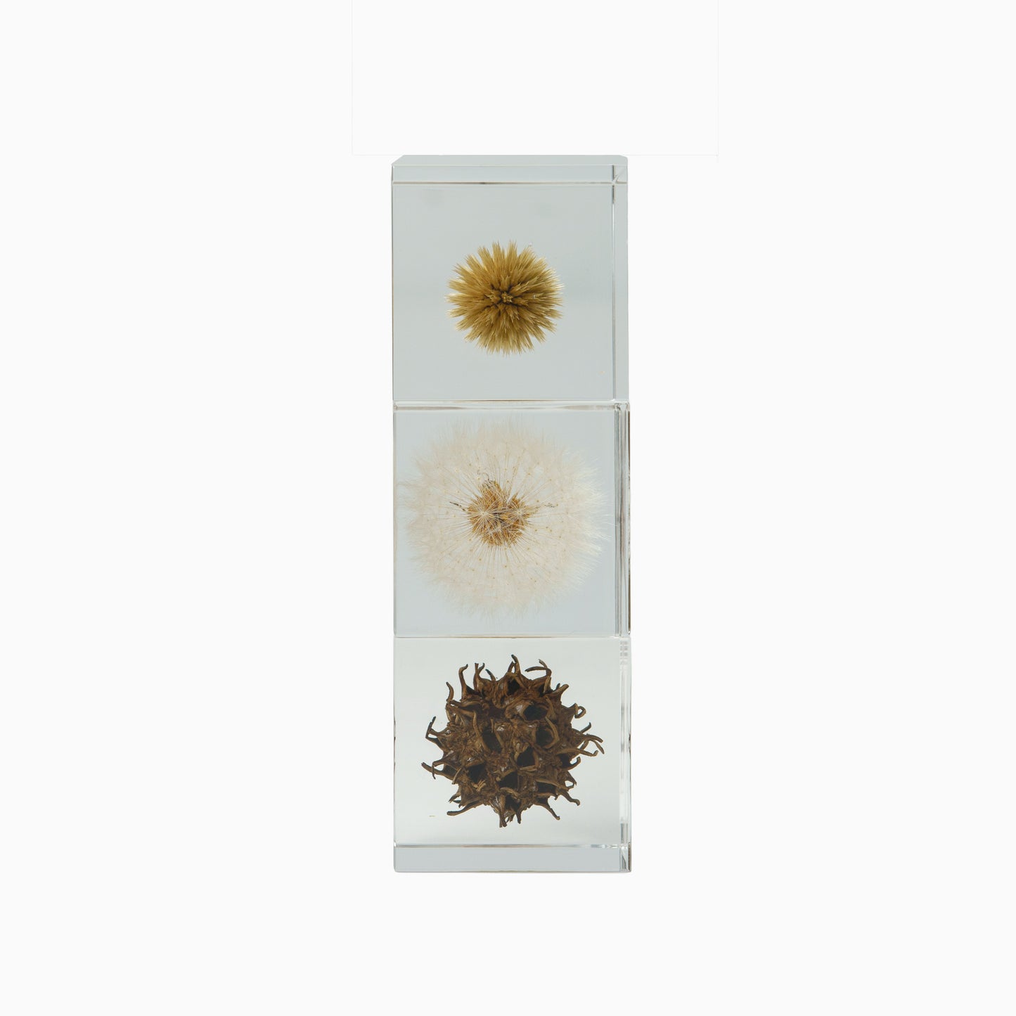 Japanese Botanical Paperweights