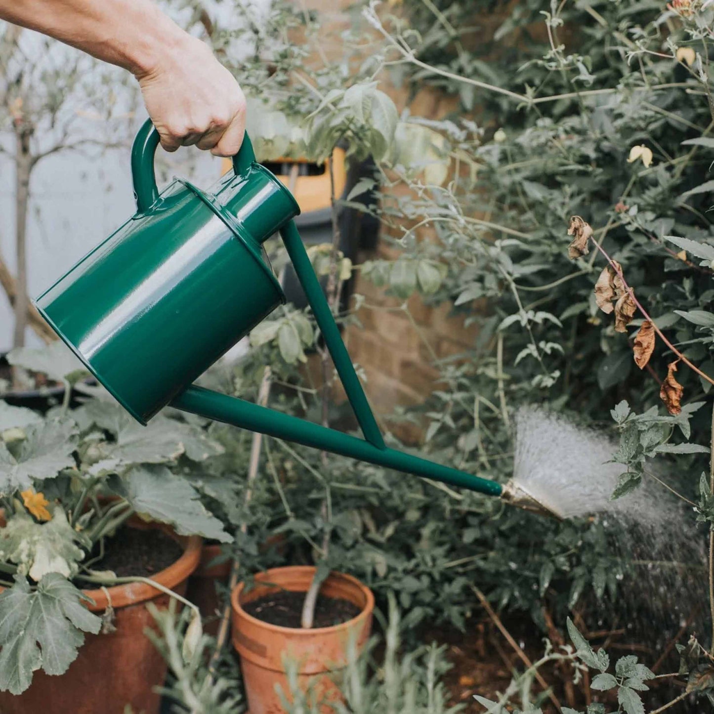Haws England 1 Gallon Long Reach Watering Can in Green- Professional Series