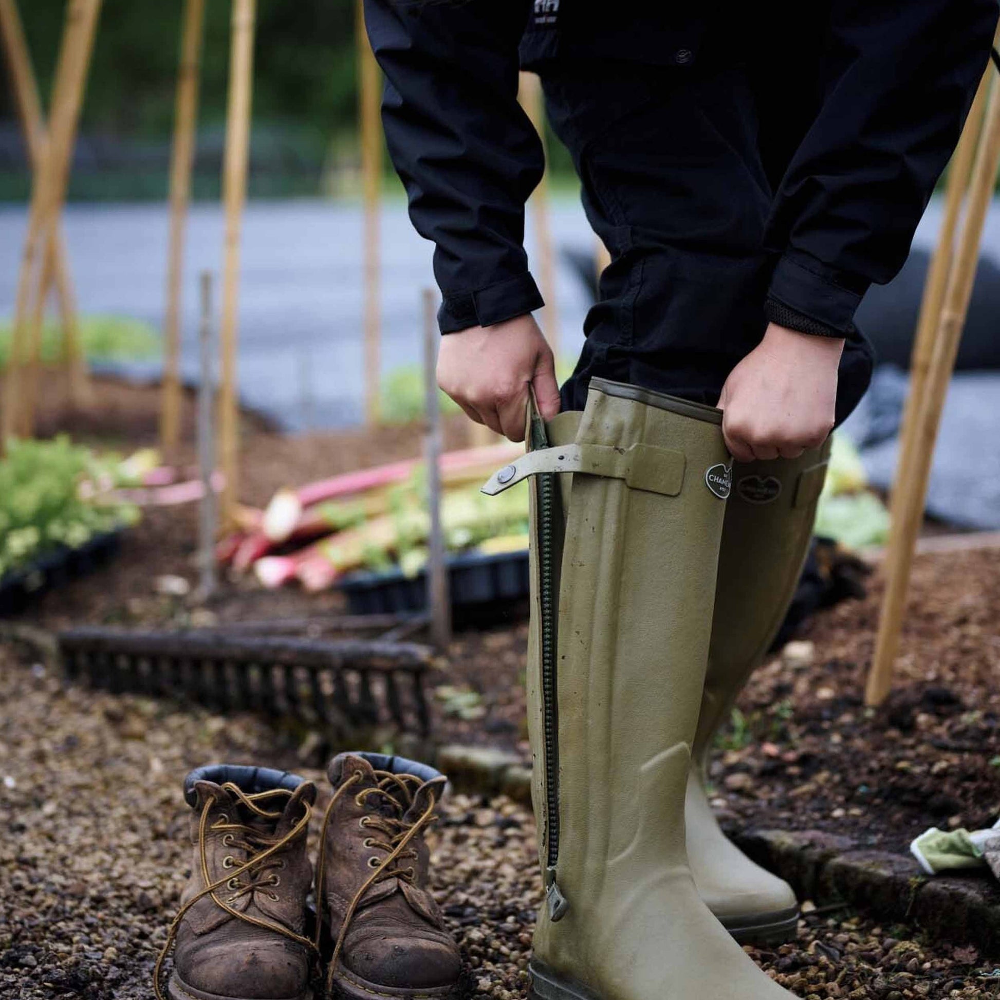 Le Chameau WOMEN'S CHASSEUR LEATHER LINED BOOT in Vert Vierzon