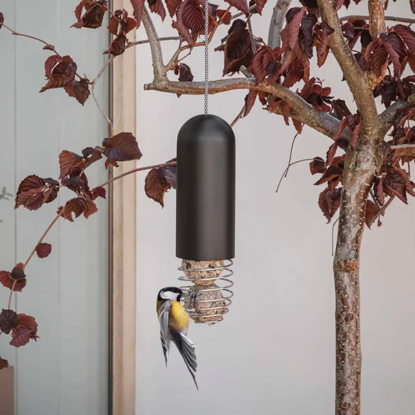 Seed Ball Bird Feeder