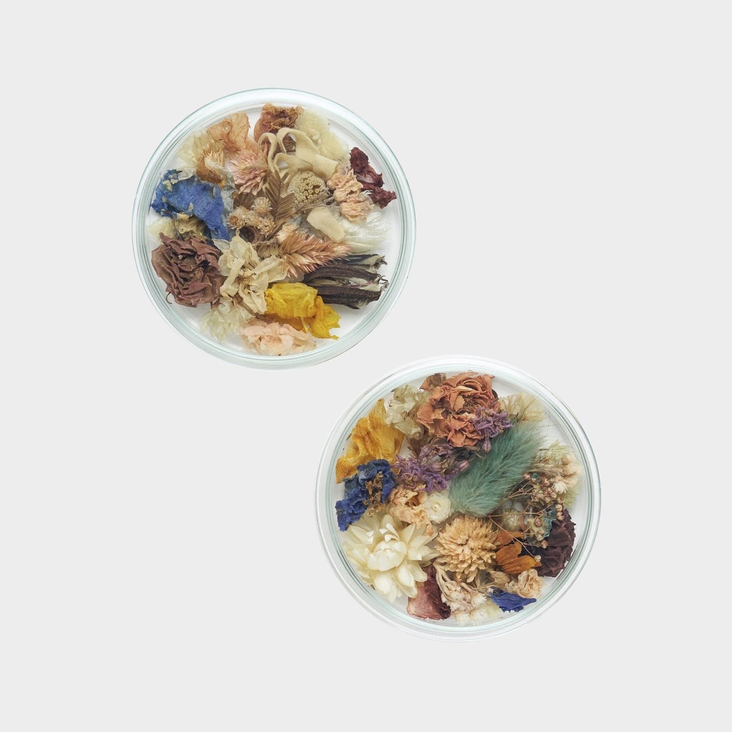 Japanese Pot Pourri Arrangement in Glass Box