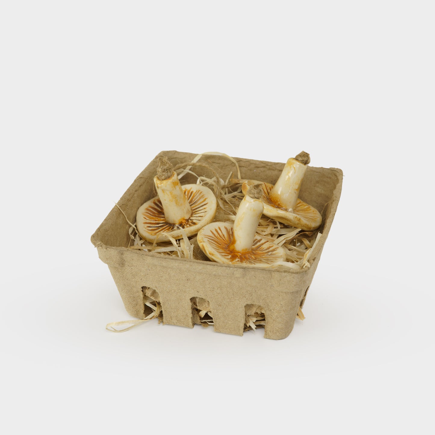 Ceramic Mushroom Ornament Set