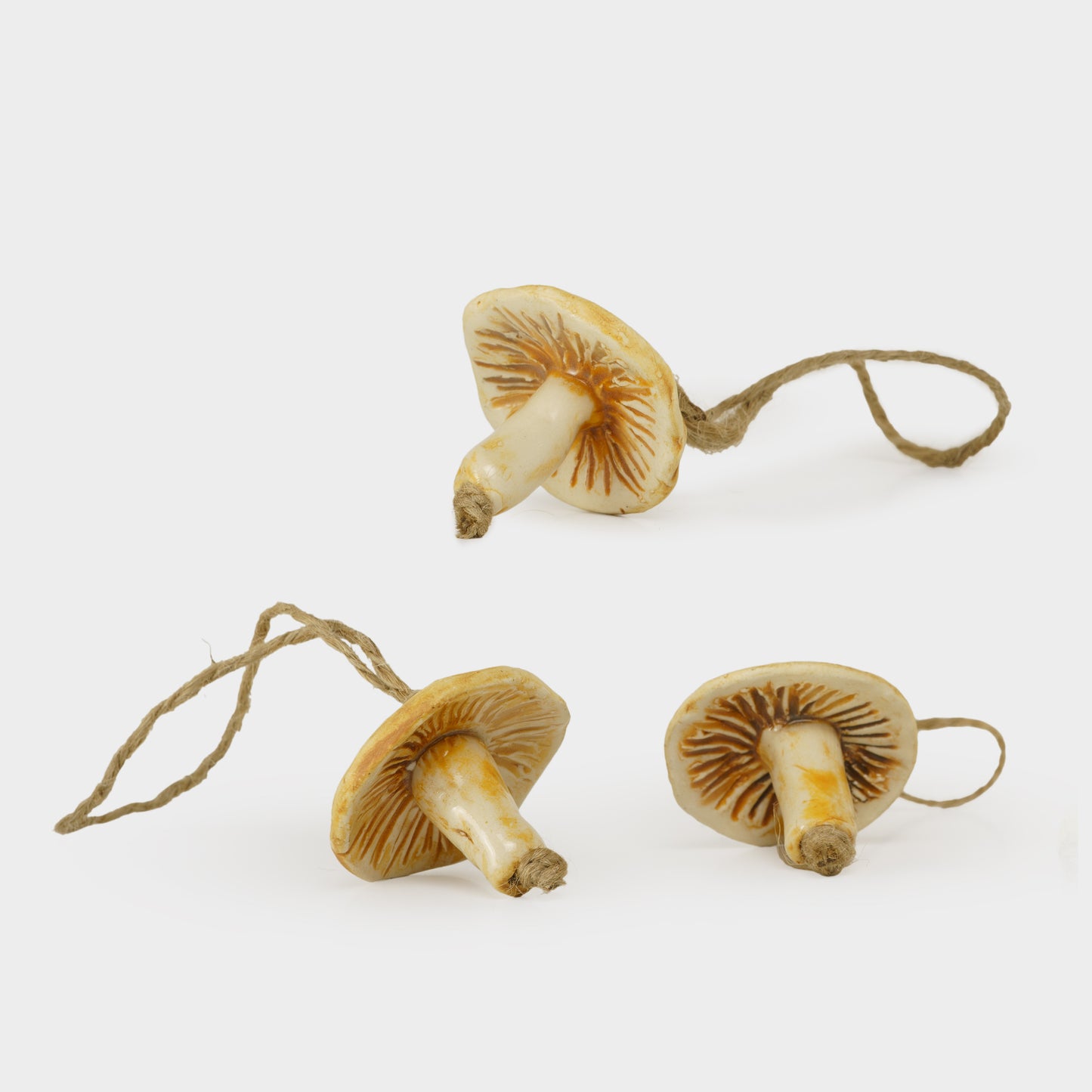 Ceramic Mushroom Ornament Set