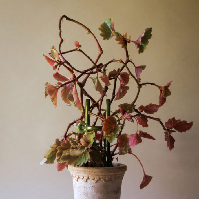 Folk Ceramic Plant Support