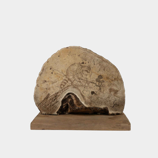 Vintage Mounted Shelf Mushroom Art With Etched Raccoon, New York, 20th C.