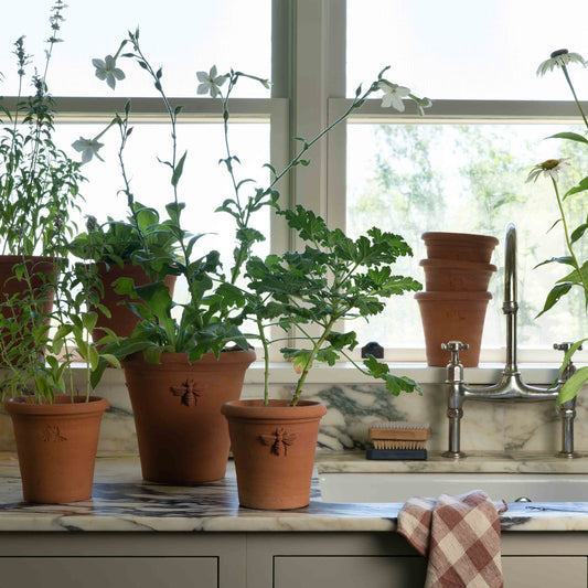 (Waitlist) Gardenheir X Seibert & Rice Terra Cotta Bee Pot in Natural