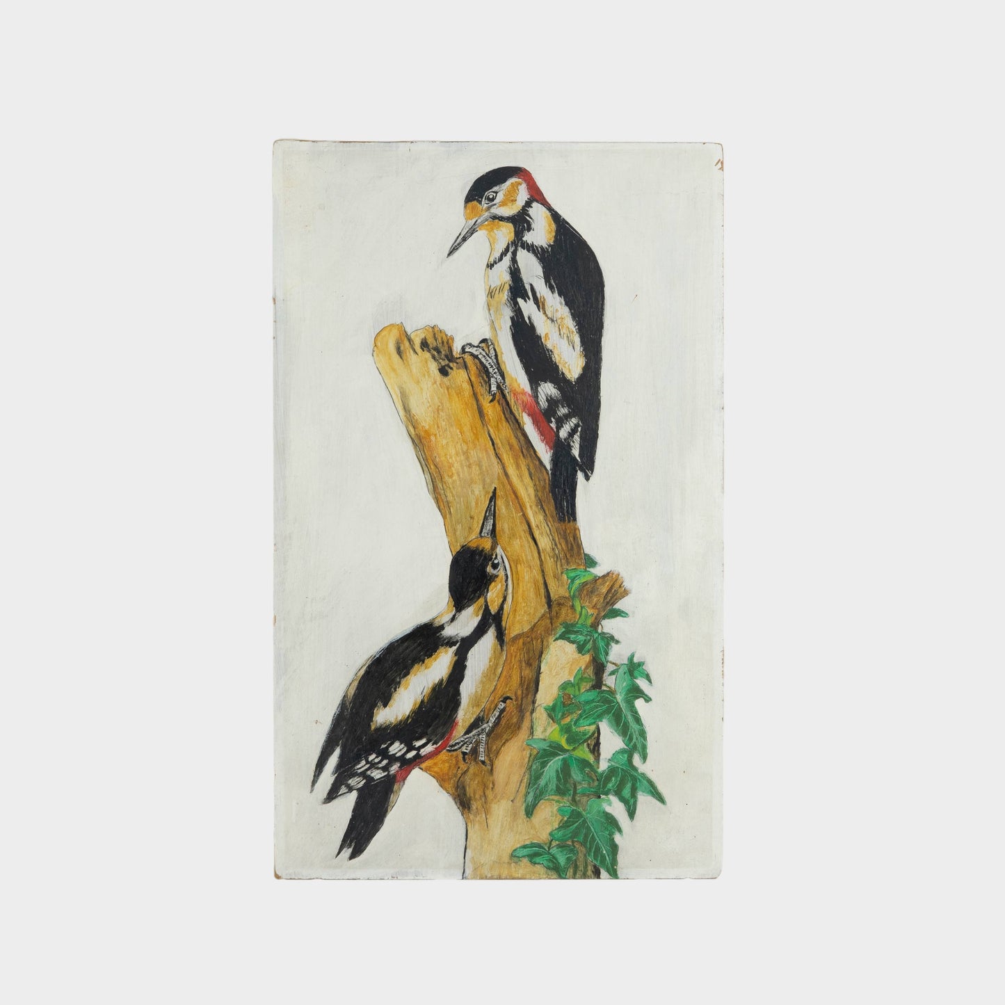 Vintage Painting of Woodpeckers