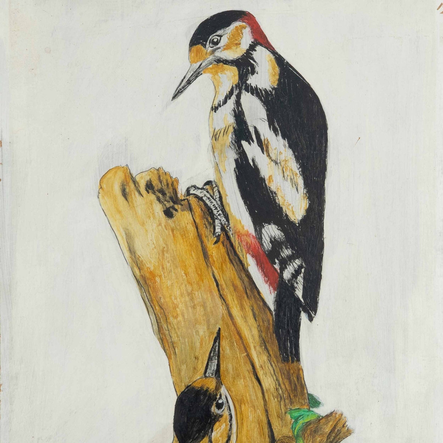 Vintage Painting of Woodpeckers
