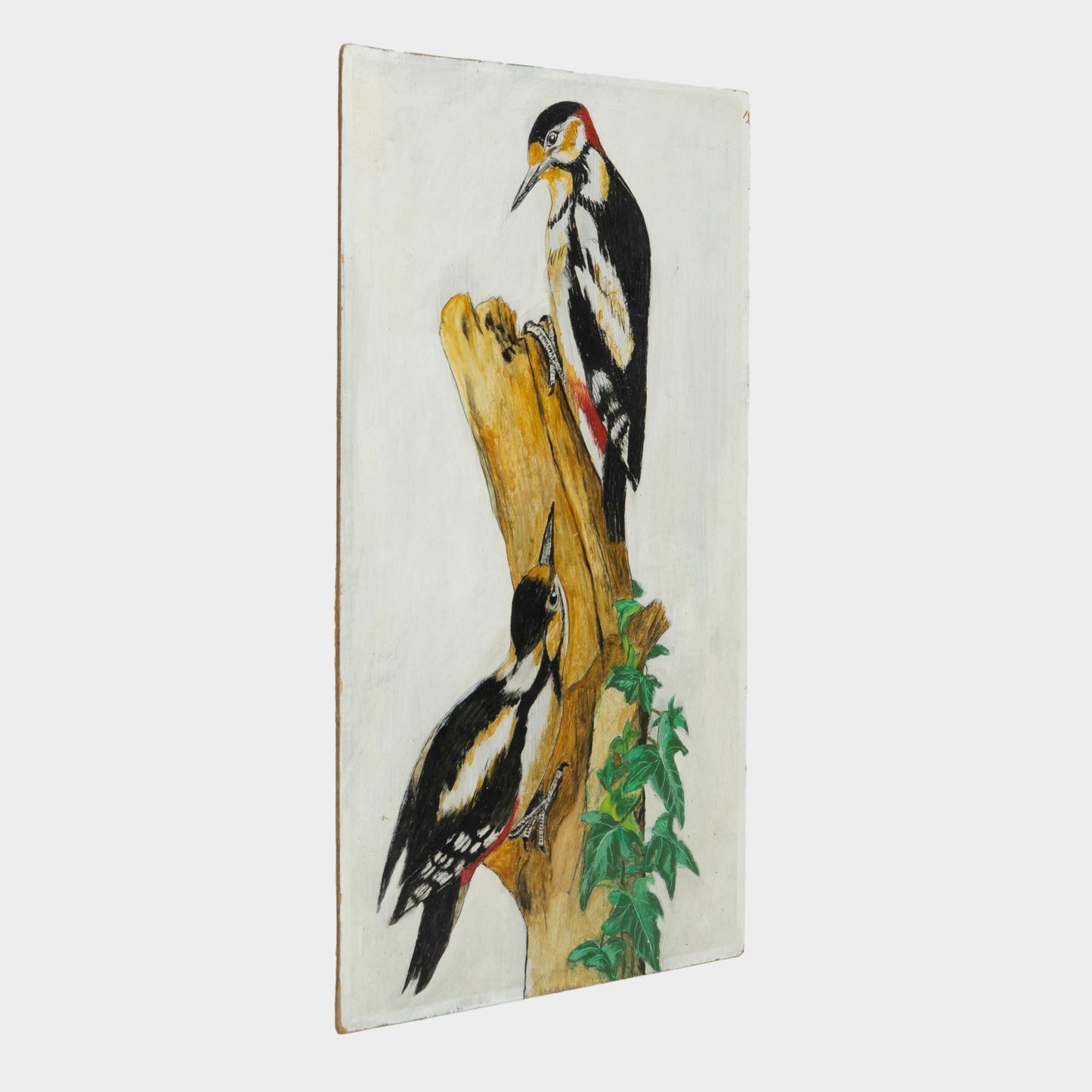 Vintage Painting of Woodpeckers