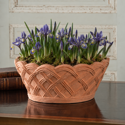 Italian Terracotta Basket Planter