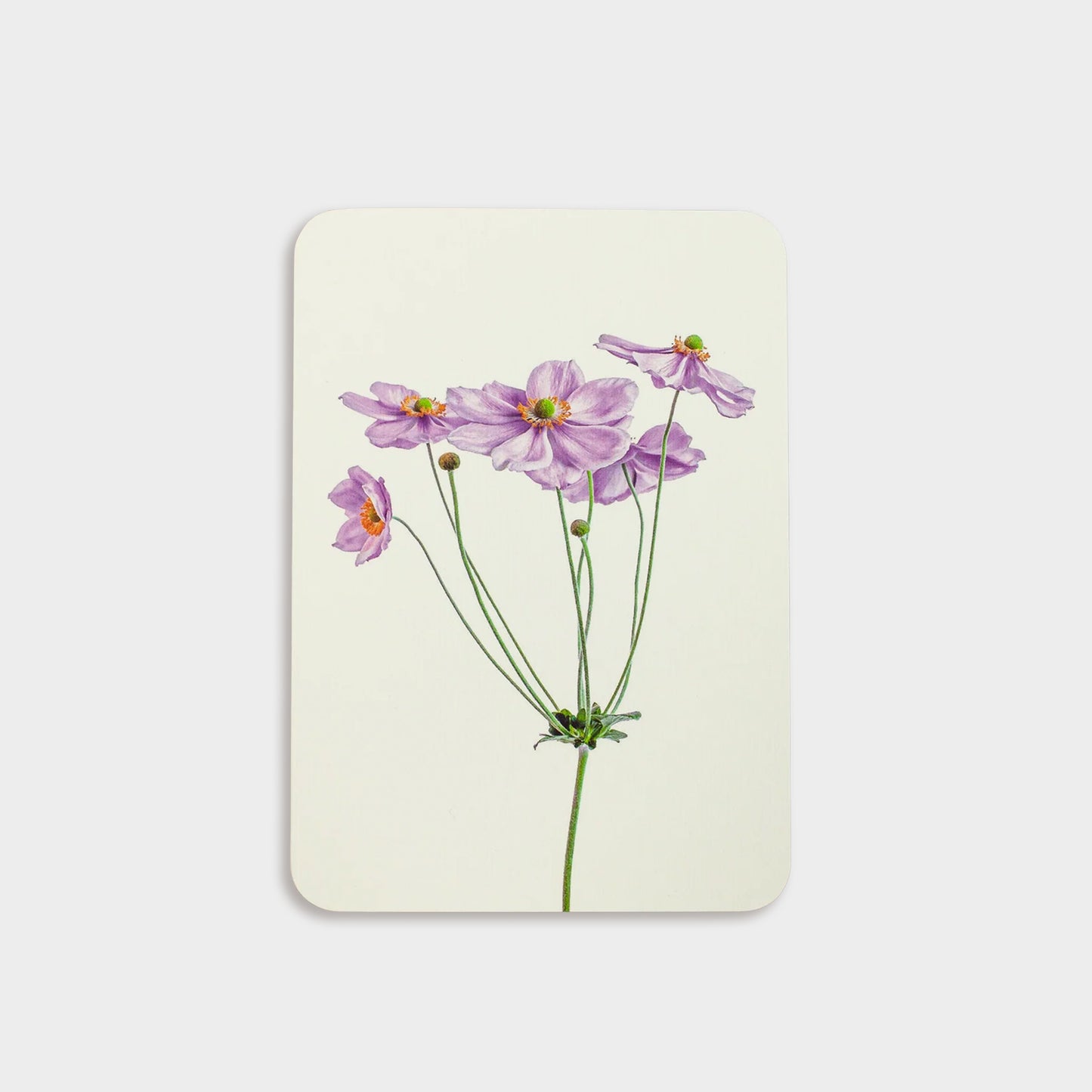 English Flower Collection Greeting Cards - set of 6