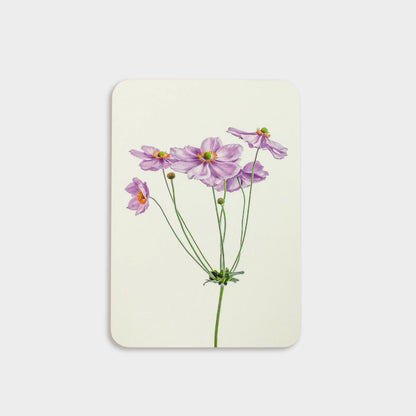 English Flower Collection Greeting Cards - set of 6