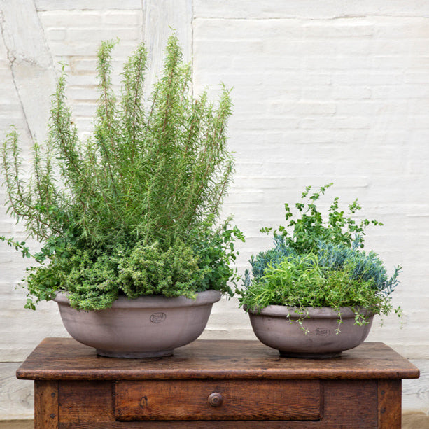 Bergs Large Erbe Low Planter