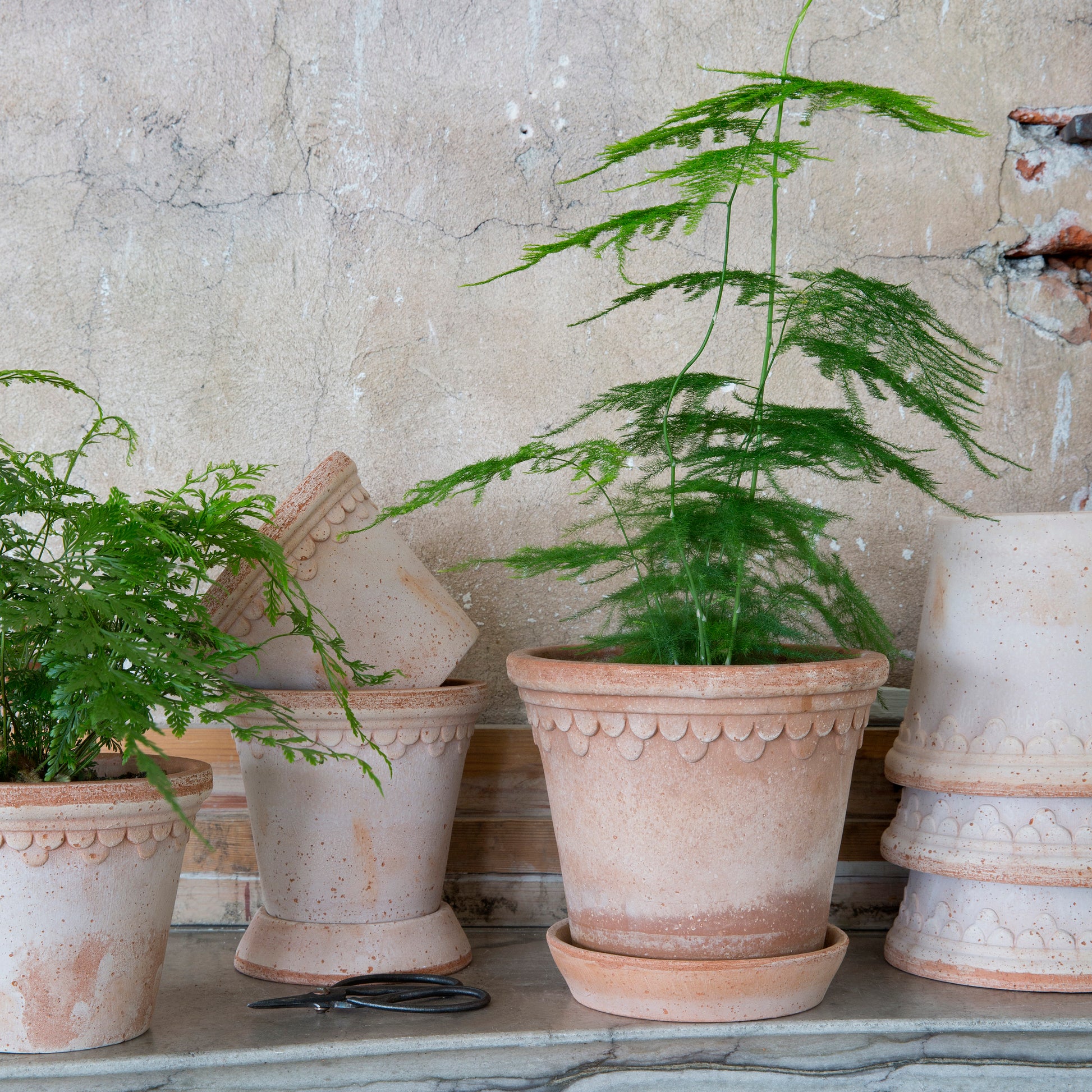 bergs plant pots Bergs Potter Københavner Terracotta Pot & Saucer – Gardenheir
