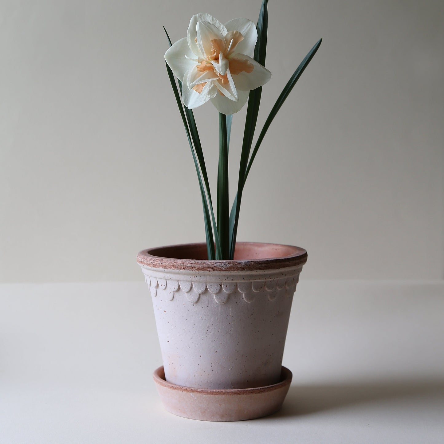 Bergs Potter Københavner Terracotta Pot & Saucer