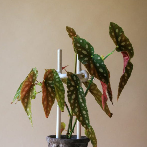 Folk Ceramic Plant Support